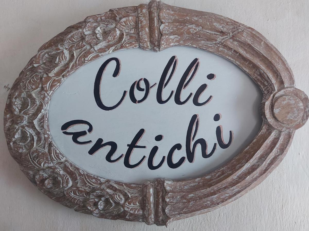 B&B Corte Colli Antichi 索纳 外观 照片